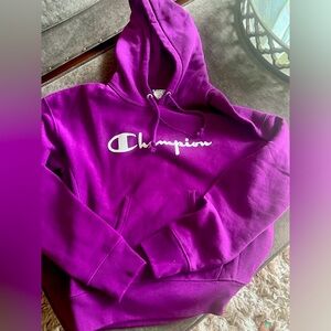Purple Champion Hoodie Xsmall